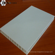 Carbon Fiber Aluminium PP Honeycomb Core Panel